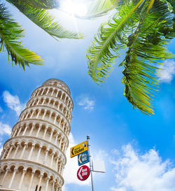 Low angle view of palm tree and building against sky