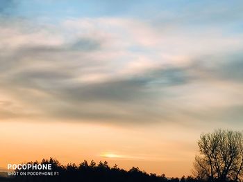 Low angle view of silhouette trees against sky during sunset