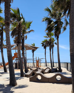 Palm trees on beach against sky