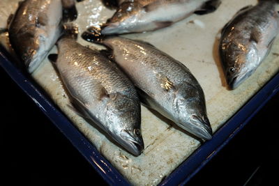 High angle view of fish for sale in market