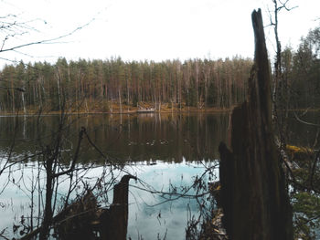 Scenic view of lake in forest against sky