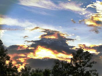 Low angle view of silhouette trees against sky