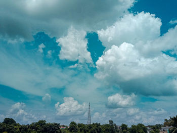 Low angle view of trees against sky