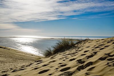 Scenic view of beach against sky