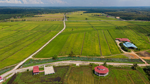 High angle view of agricultural field