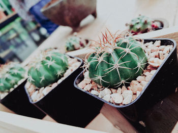 High angle view of food on table
