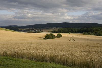 Scenic view of field against sky