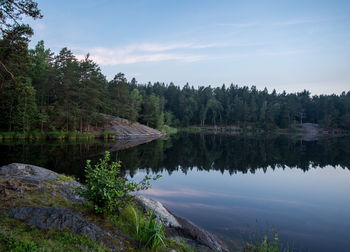 Scenic view of lake in forest against sky