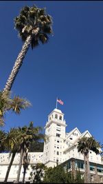 Low angle view of palm trees and buildings against blue sky