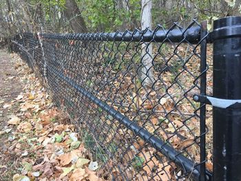 Close-up of chainlink fence