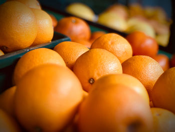 Close up of oranges