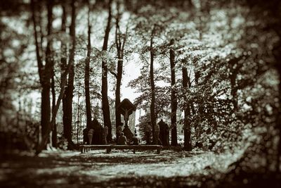 People by trees in forest