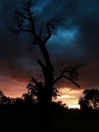 Low angle view of silhouette tree against sky at sunset