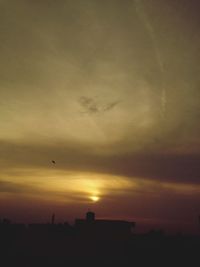 Silhouette of trees at sunset
