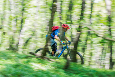Blurred motion of man riding bicycle in forest