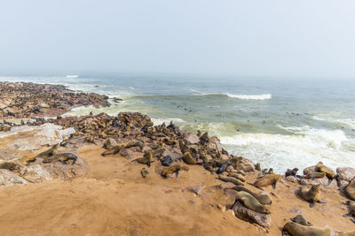 Rocks on beach against clear sky