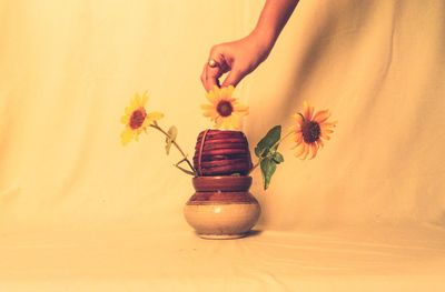 Midsection of woman by potted plant on table against orange wall