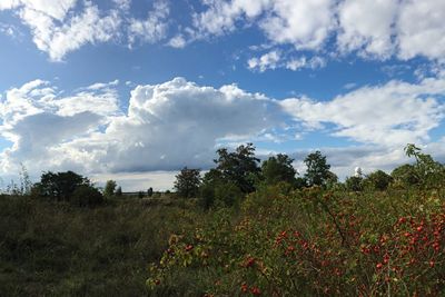 Scenic view of landscape against cloudy sky