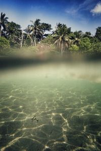 Scenic view of swimming pool