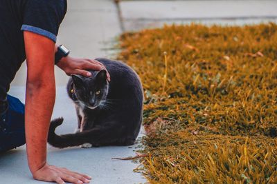 Midsection of person holding cat