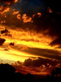 Low angle view of silhouette trees against sky during sunset