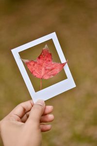 Cropped hand holding paper picture frame and maple leaf