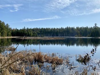 Scenic view of lake by trees against sky