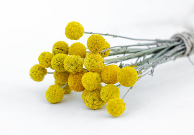 Close-up of yellow flowers on table