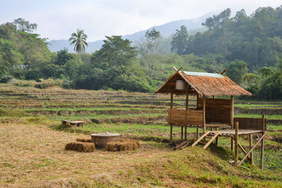 Hut in a field