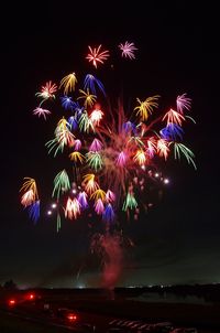 Low angle view of firework display at night