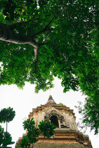 Low angle view of a building