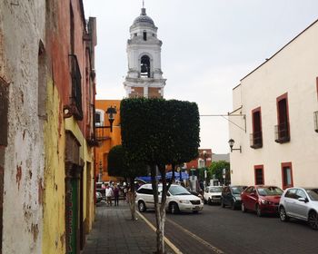 Trees on sidewalk amidst buildings against sky