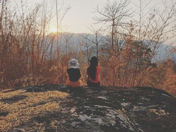 Scenic view of forest against sky during sunset