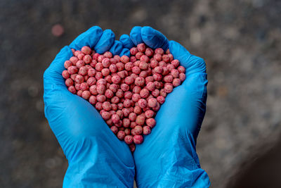 Close-up of a handful in the hands in the form of a heart etched soybean seeds