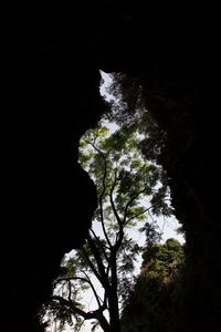 Rock formation in a cave