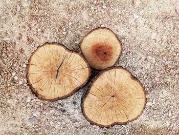 High angle view of bread on wood