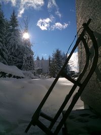 Sun shining through trees