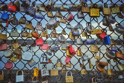 Padlocks on chainlink fence
