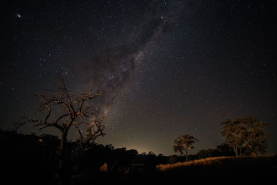 Low angle view of silhouette trees against sky at night