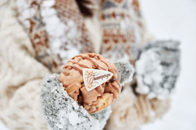 Hand holding a chocolate snowball. winter, snow, closeup.
