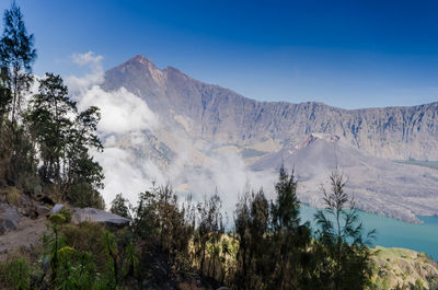 Panoramic view of trees and mountains against sky