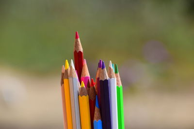 Close-up of multi colored pencils
