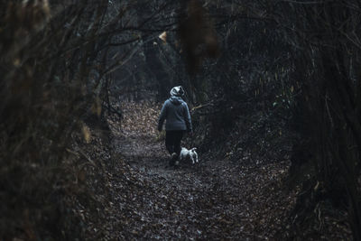 Rear view of man walking in forest