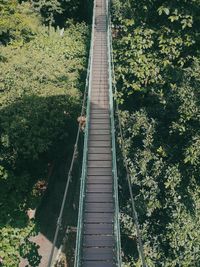 High angle view of footbridge amidst trees in forest