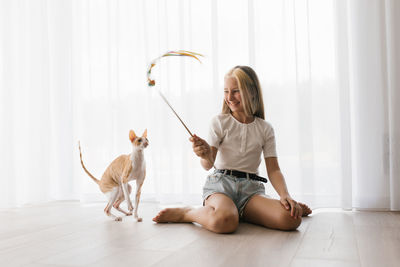 Caucasian teenage girl plays with a cornish rex cat at home on a sunny day, focusing on a pet 