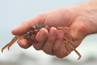 Close-up of man holding hand against sky