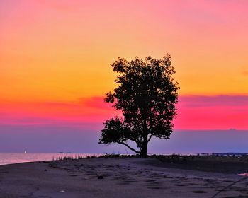 Silhouette tree on beach against romantic sky at sunset