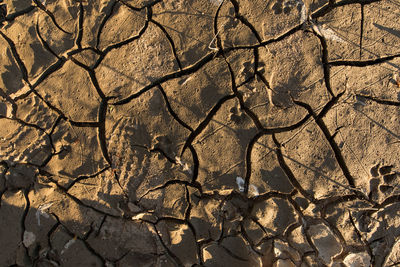 Full frame shot of cracked land