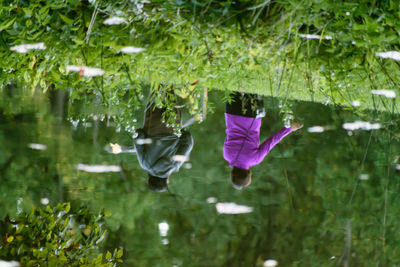 Close-up of purple flowers blooming in lake