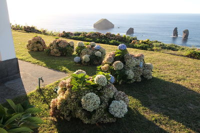 View of rocks on sea shore against sky